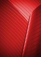 Red stripes background photo