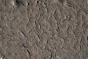 Cracked and abstract grunge texture. Aged material surface backdrop. Weathered effect pattern. Old and dirty background. photo