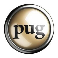 pug word on isolated button photo