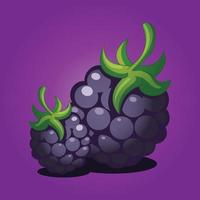 Grape fruit free vector