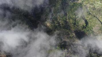 vista aerea del drone che vola sopra una foresta con le nuvole. filmando la foresta profonda dall'alto con nuvole che passano. ripresa cinematografica. sopra le nuvole. sensazione rilassante e pensierosa. viaggiare per il mondo. video