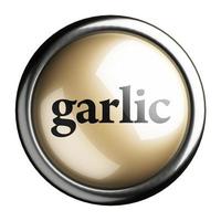 garlic word on isolated button photo