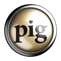 pig word on isolated button photo