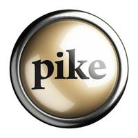 pike word on isolated button photo