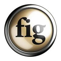 fig word on isolated button photo