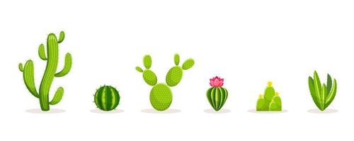 Set of Cacti with thorns and flowers. Mexican green plant cactus with spines. Element of the desert and southern landscape. Cartoon flat vector illustration. Isolated on white background