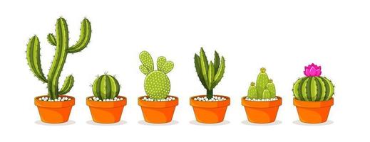 Cactus and succulent plants in flower pots. Vector set of Cute green potted cactus and succulents. Potted house plants collection. Isolated on white background.