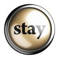 stay word on isolated button photo