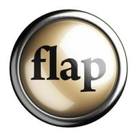 flap word on isolated button photo