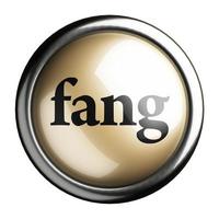 fang word on isolated button photo