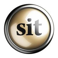 sit word on isolated button photo