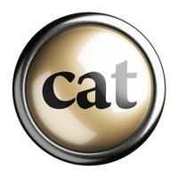 cat word on isolated button photo