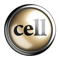 cell word on isolated button photo