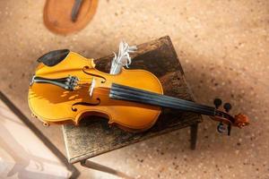 violín con pluma foto