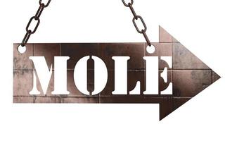 mole word on metal pointer photo