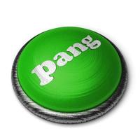 pang word on green button isolated on white photo