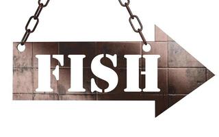 fish word on metal pointer photo