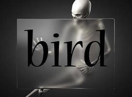 bird word on glass and skeleton photo