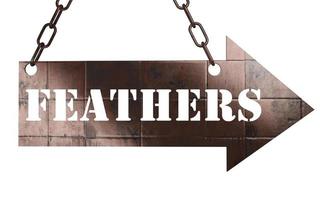 feathers word on metal pointer photo