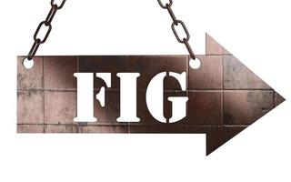 fig word on metal pointer photo