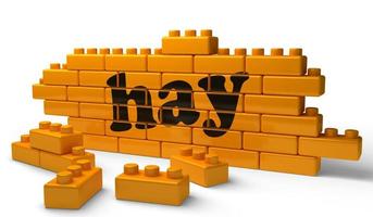 hay word on yellow brick wall photo