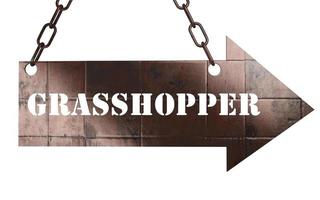 grasshopper word on metal pointer photo