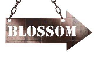 blossom word on metal pointer photo