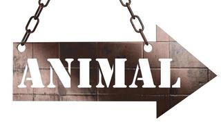 animal word on metal pointer photo