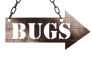 bugs word on metal pointer photo