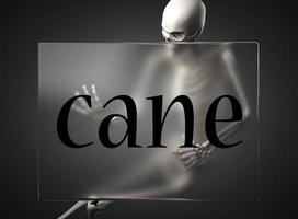 cane word on glass and skeleton photo