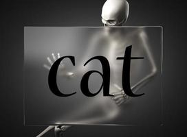 cat word on glass and skeleton photo