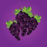 Grape fruit free vector