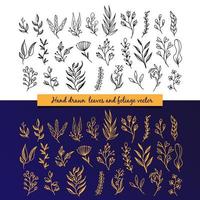 Hand drawn leave and foliage vector collection set