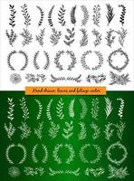 29 hand drawn botanical leaf collection set vector