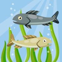 Set of fish. River animal with scales, fins and tail. vector