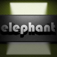 elephant word of iron on carbon photo