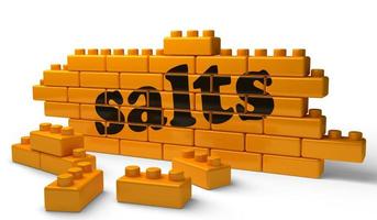 salts word on yellow brick wall photo