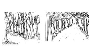 bosque camino negro blanco paisaje boceto ilustración vector
