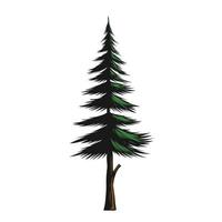 illustration of a pine tree vector