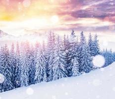 Mysterious winter landscape majestic mountains in winter. Magical winter snow covered tree. Photo greeting card. Bokeh light effect, soft filter. Carpathian. Ukraine.