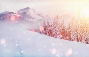 Mysterious winter landscape majestic mountains in winter. Magical winter snow covered tree. Photo greeting card. Bokeh light effect, soft filter. Carpathian. Ukraine.