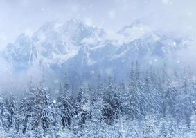 Mysterious winter landscape majestic mountains in winter. Magical winter snow covered tree. Photo greeting card. Bokeh light effect, soft filter. Carpathian. Ukraine.