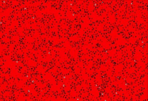 plantilla de vector rojo claro con círculos.