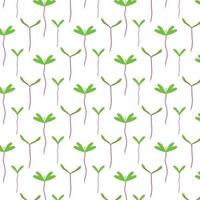 Vector seamless pattern with greenery. Pattern with beet sprouts.