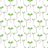 Vector seamless pattern with greenery. Pattern with beet sprouts.