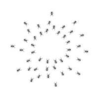 Hordes of ants otakut from all sides in a circle. vector