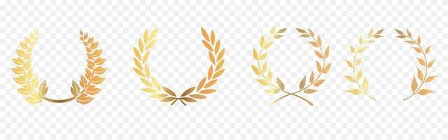 Set of Golden laurel or olive greek wreath vector illustration isolated on transparent background