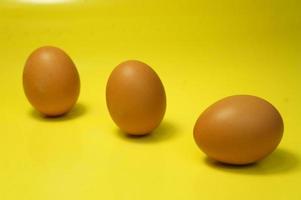 Close up photo of chicken eggs