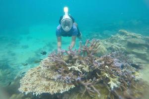 hombre buceando y disfrutando de la vista submarina del arrecife de coral en la isla karimun jawa foto