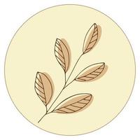 Vector icon and emblem for social media story highlight covers. Design templates for bloggers, photographers and designers. Abstract minimal circle backgrounds with nature leaves.